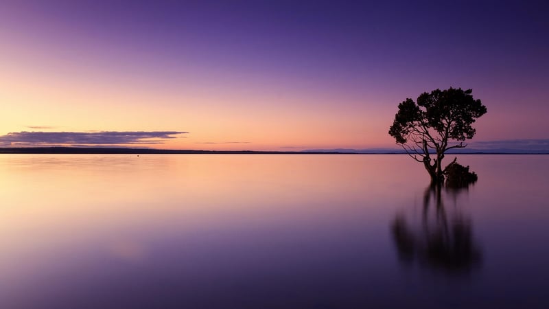 Colorful Sunset in Nature